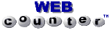 web counter image